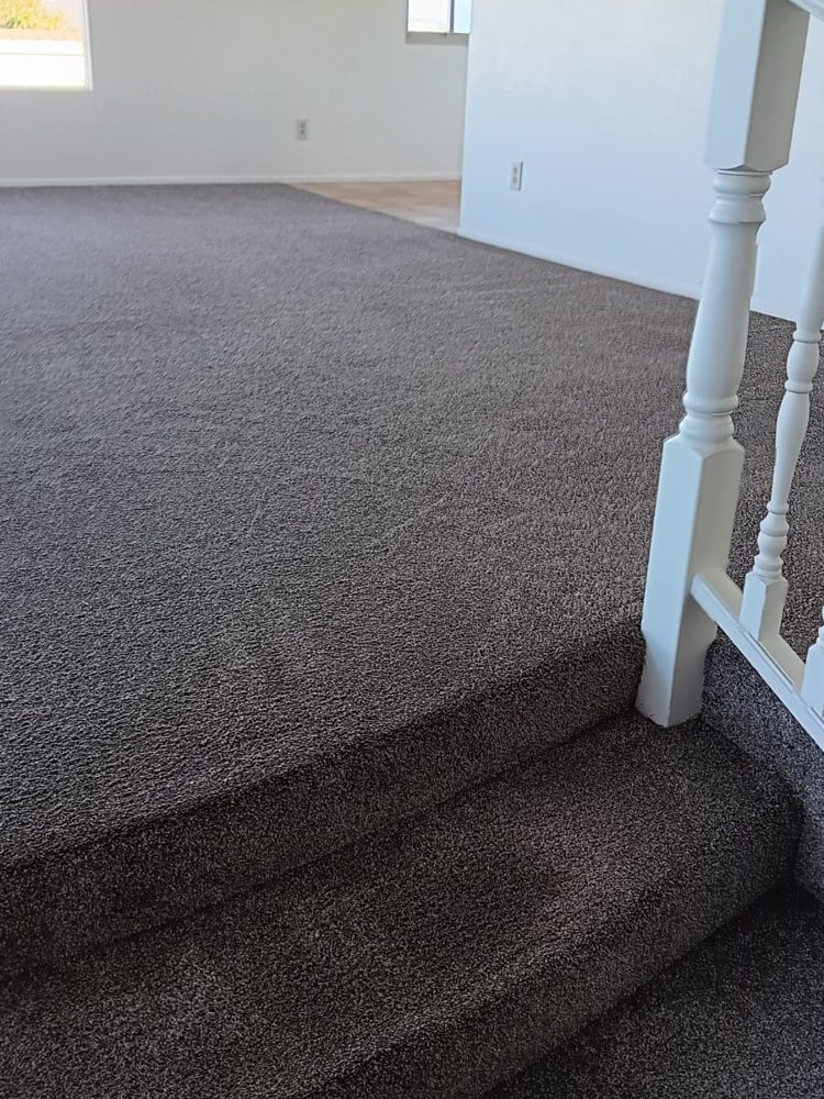 Carpeted stairs after cleaning