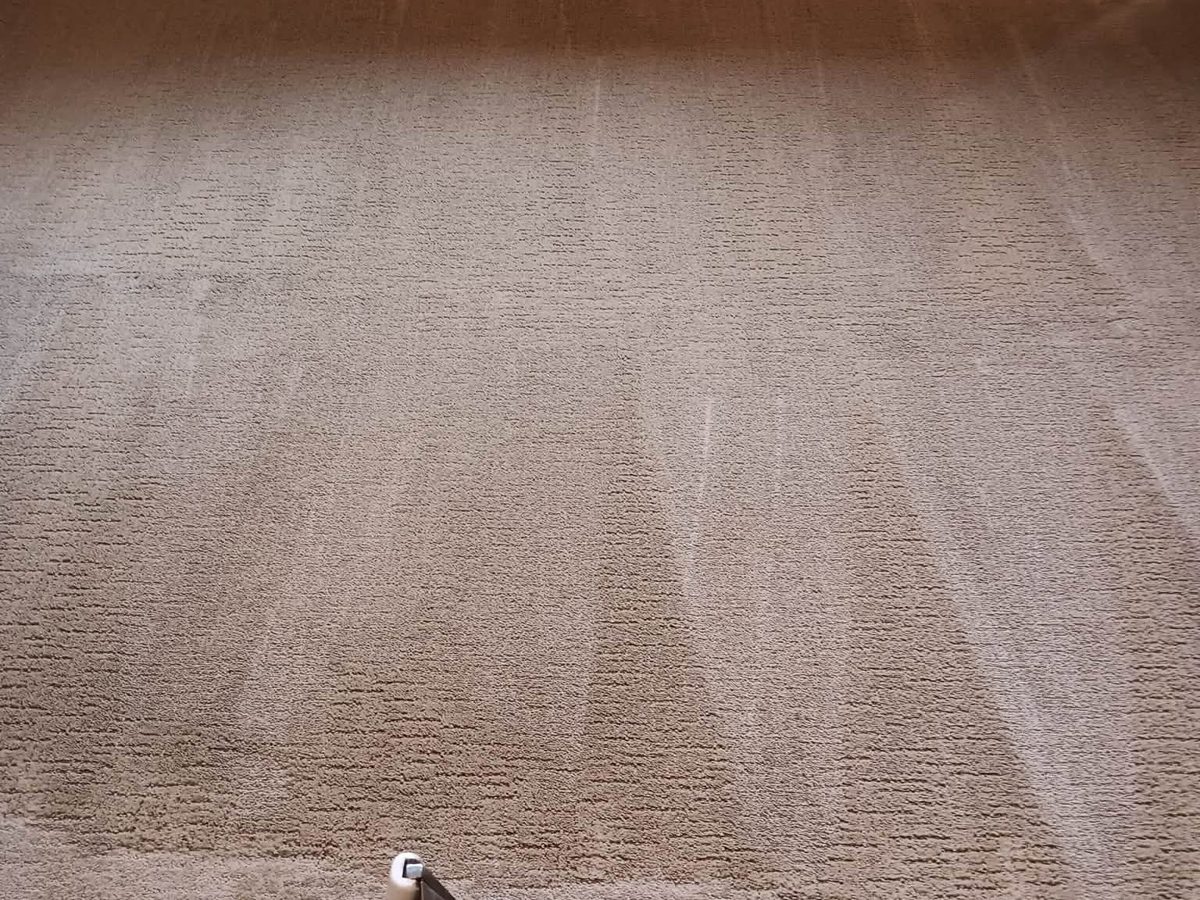Carpet cleaning wand on freshly cleaned carpet